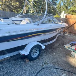 2001 Bayliner 18feet 25th Anniversary Edition