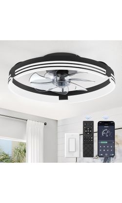 Ceiling fan