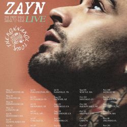 Zayn Ticket
