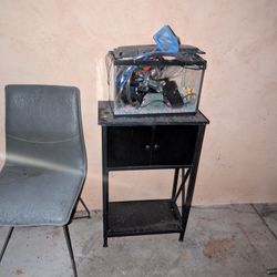 Free Fish Tank Aquarium 