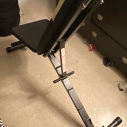 800lb Exercise  Bench !!! 