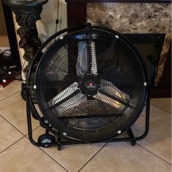 Big  Fan Countyline  Brand  New 