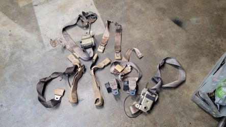 G Body Seat Belts