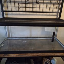 20 Gallon Long Tank With Lid - Free