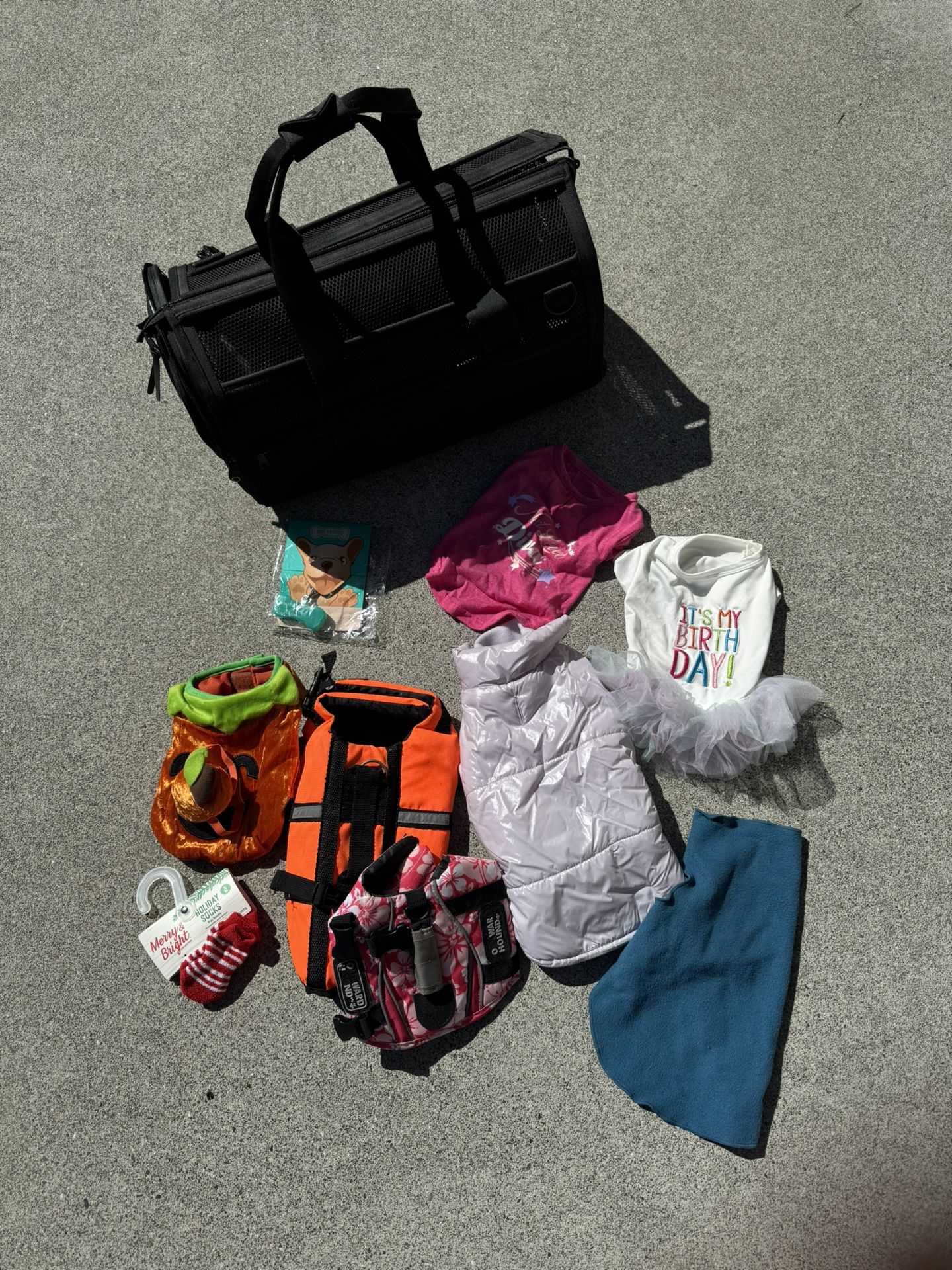Brand New Wild One Pet Carrier