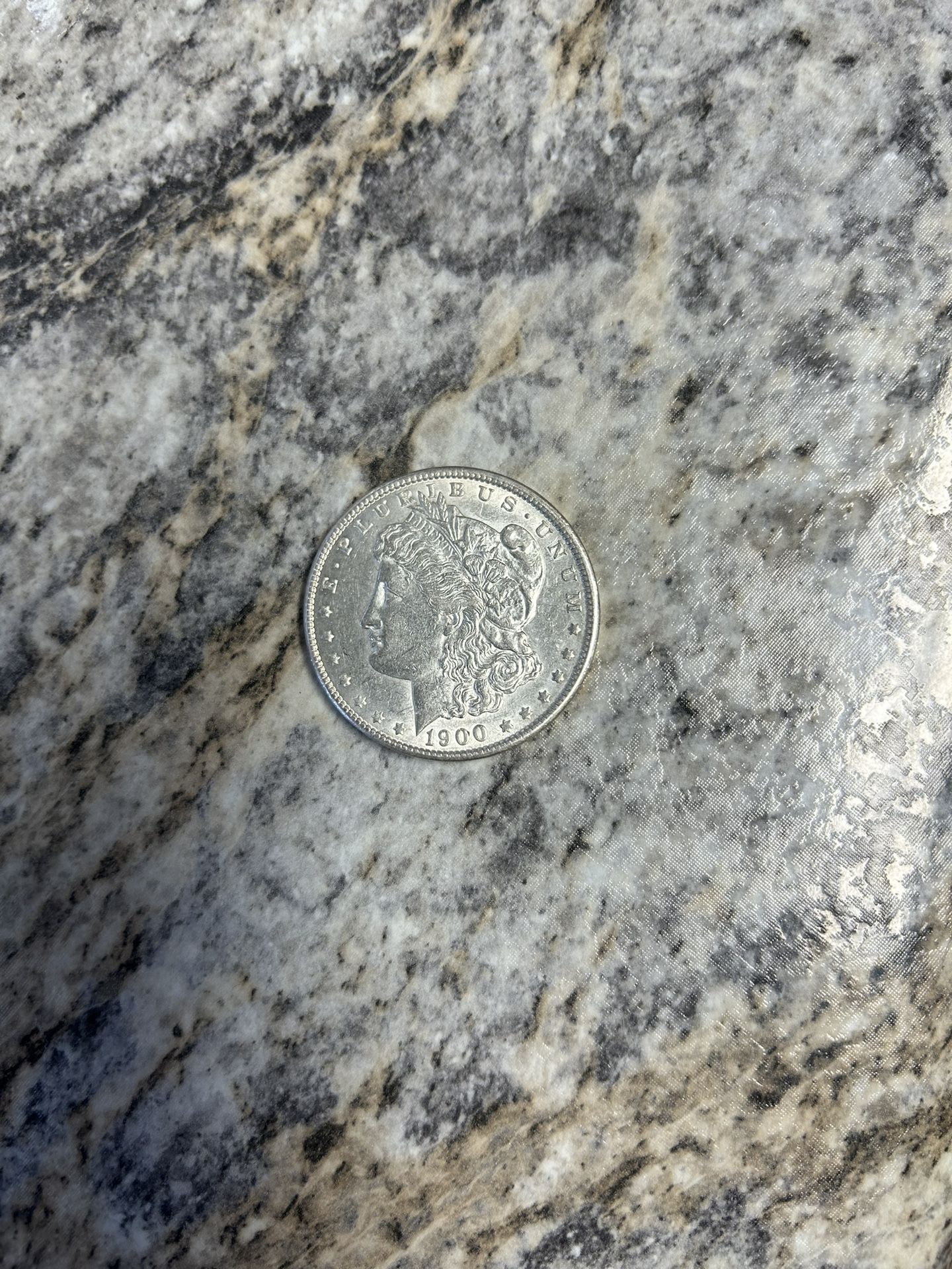 Morgan Silver Dollar 1900