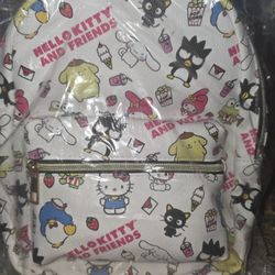 New Cute Hello Kitty And Friend 