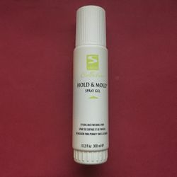 Collectives Hold and Mold Spray Gel 10.2 oz by Sebastian