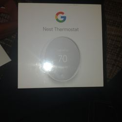 Google Nest Snow Thermostat