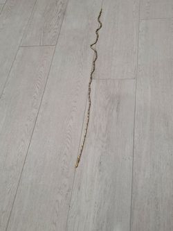 Snake Neklace