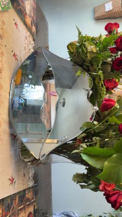Lip mirror