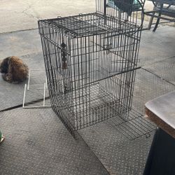CAGE 