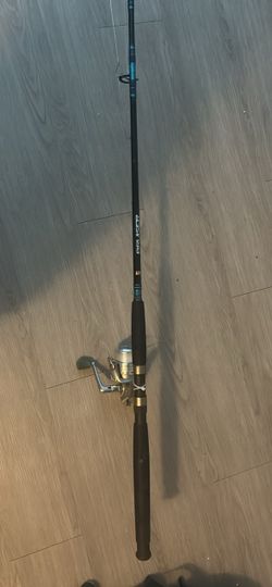 Fishing rod and reel
