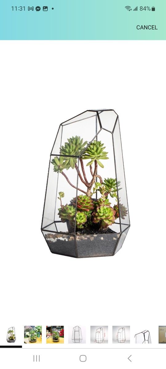 NCYP Large Geometric Terrarium - 16 Inches Tall Irregular Open Glass Terrarium Pot - Home Garden Tabletop Decoration Planter for Air Plants Succulents