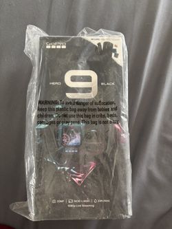 GoPro 9 
