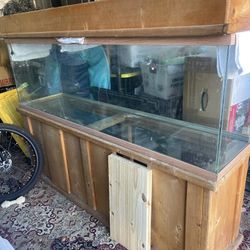 Large Fish Tank with Stand And Lid