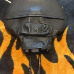 Harley 2010 Electra Glide Classic Back Rest