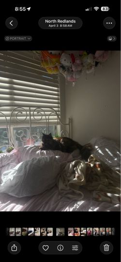IKEA LEIRVIK White Metal Bed Frame