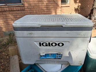 Cooler