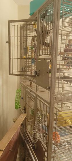 Birdcage