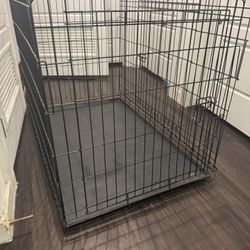 Kennel Large Dog