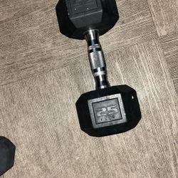 25 Pound Dumbbell