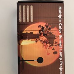 Multiple Color Lamp Projector 