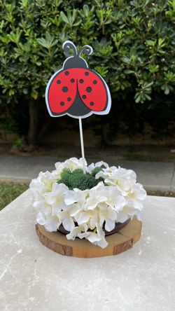 Ladybug/ Centerpieces Stick/ Baby Shower