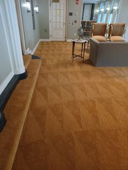 Carpetas Y Sofá 