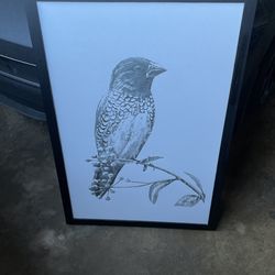 Bird Picture Art