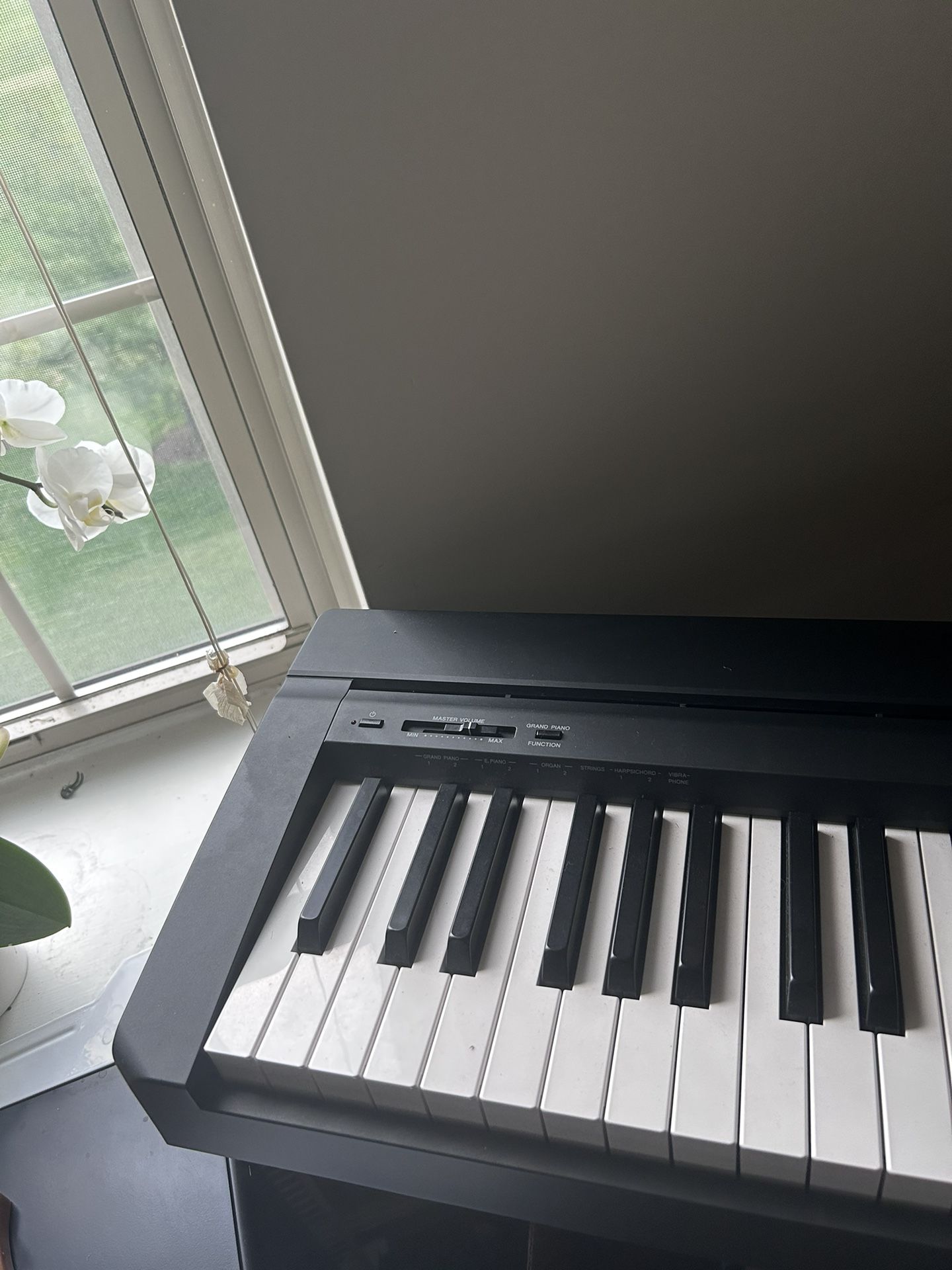 3 Yr Old -Yamaha Electronic Piano Model P-45