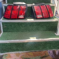Back Mustang Lights