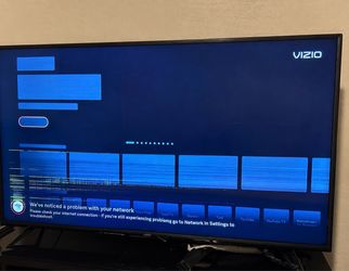 58” Vizio Smart TV – Works, Screen Has Lines