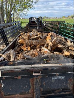 Fire Wood