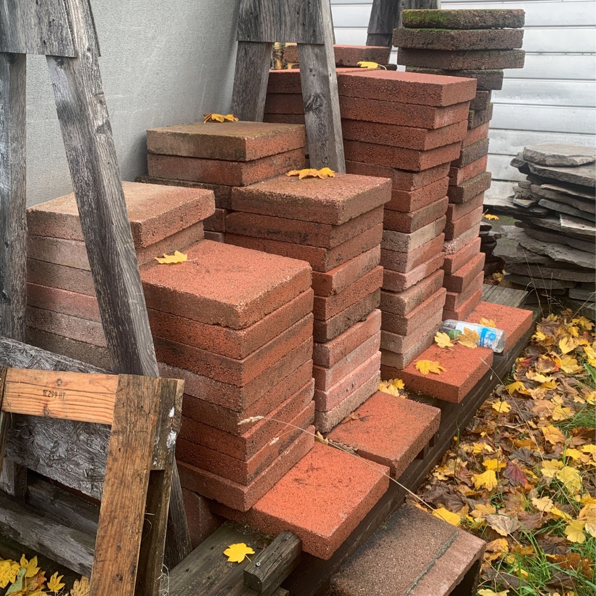 Free 12 X 12 Paver