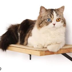 
FUKUMARU Cat Wall Shelves, 16 x 10 Inch Cat Wall Furniture with Sisal Mat, Solid Rubber Wood Floating Wall Shelf with Upgraded Installation, Cat Wind
