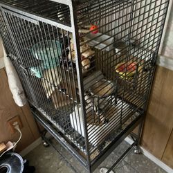Bird Cage