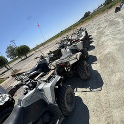 Suzuki King quad