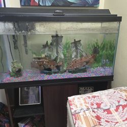 Fish Tank 30 Gallon With Stand 