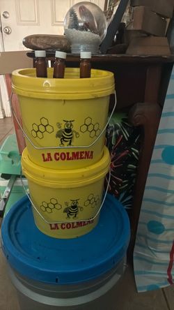 Miel natural  jalea real. Bastidores de pañal de abeja