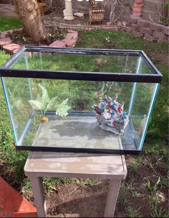 Fish or reptile Tank