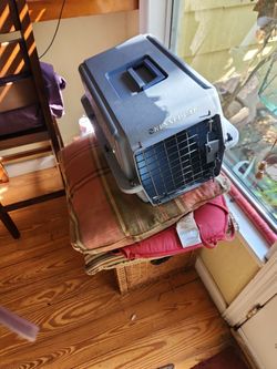 Cat Or Small Dog Carrier