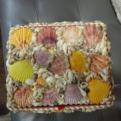 Large Shell Box