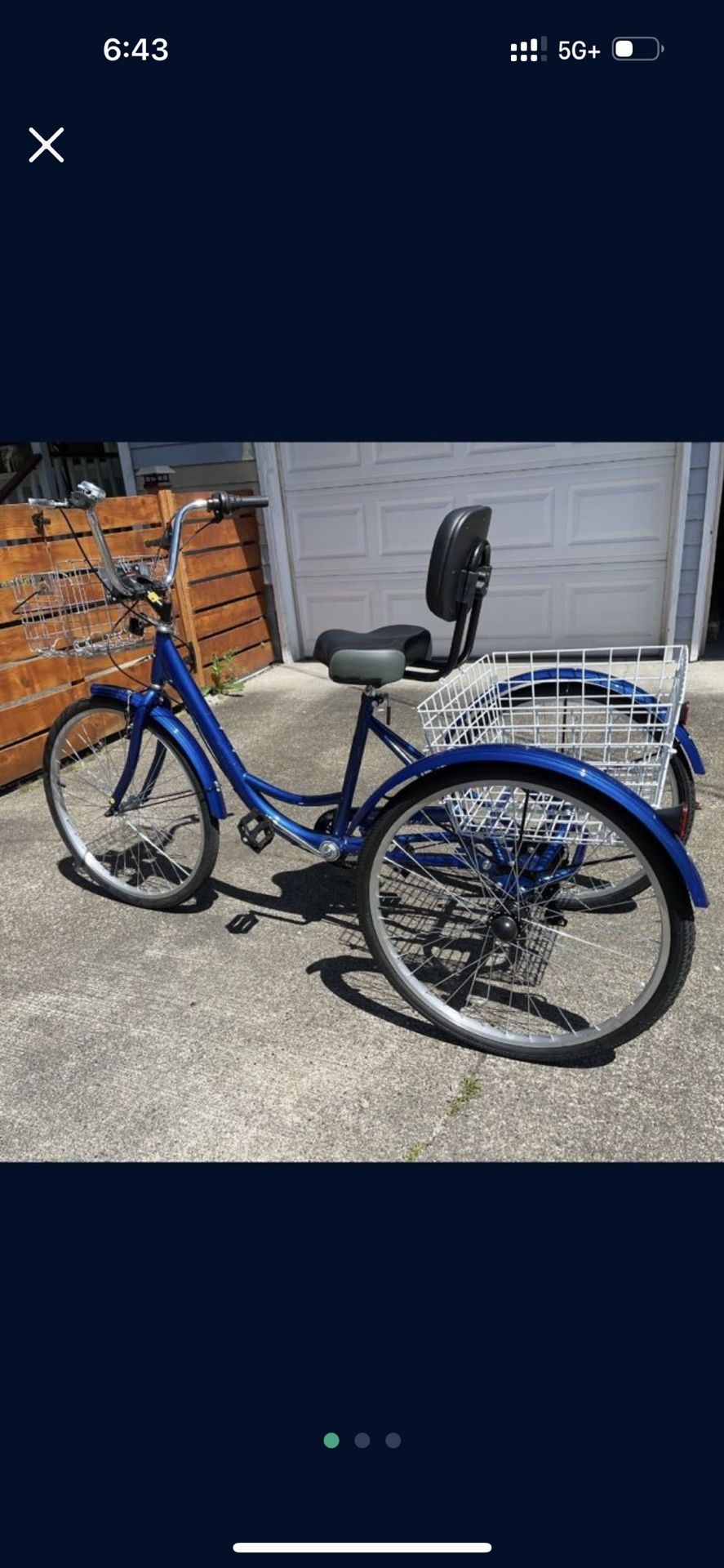 Adult Tricycle