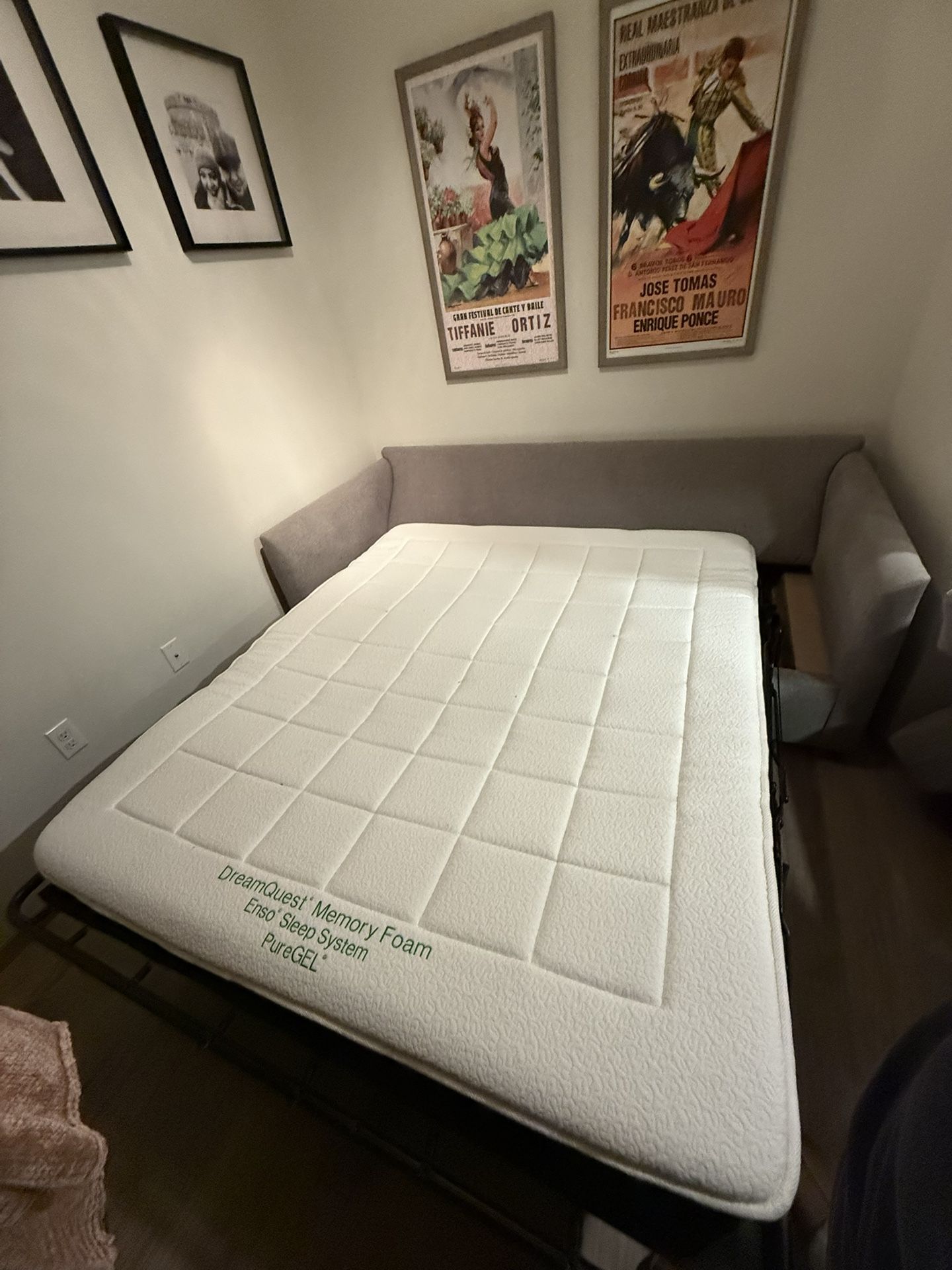 Sofa Sleeper So Comfy (sleeper In Seattle)