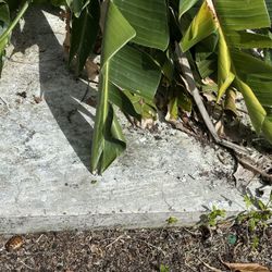 Cement Slab For AC Unit (2)