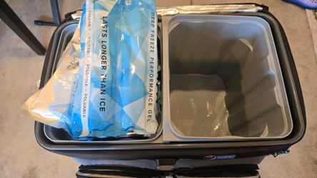 Insulated Cooler Bag with Ice Packs