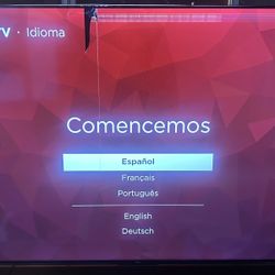 65” Roku TV (broken Screen)