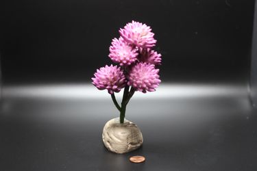 Purple Flower Plant