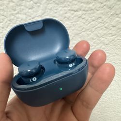 Bose Earphones 